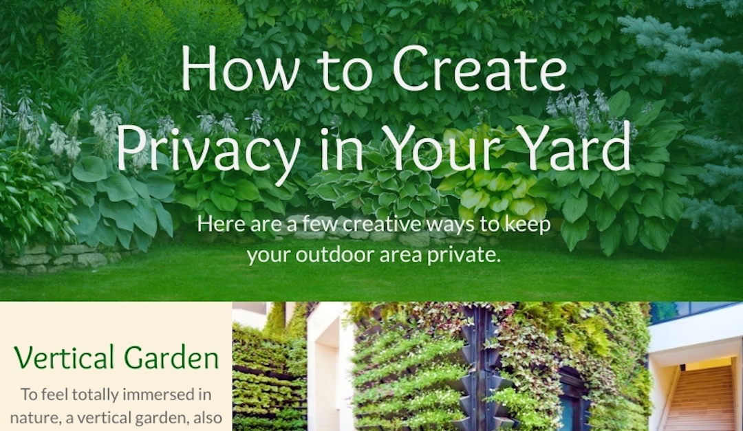 How to Create Privacy in Your Yard