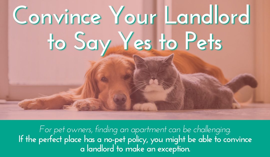Convince Your Landlord to Say Yes to Pets