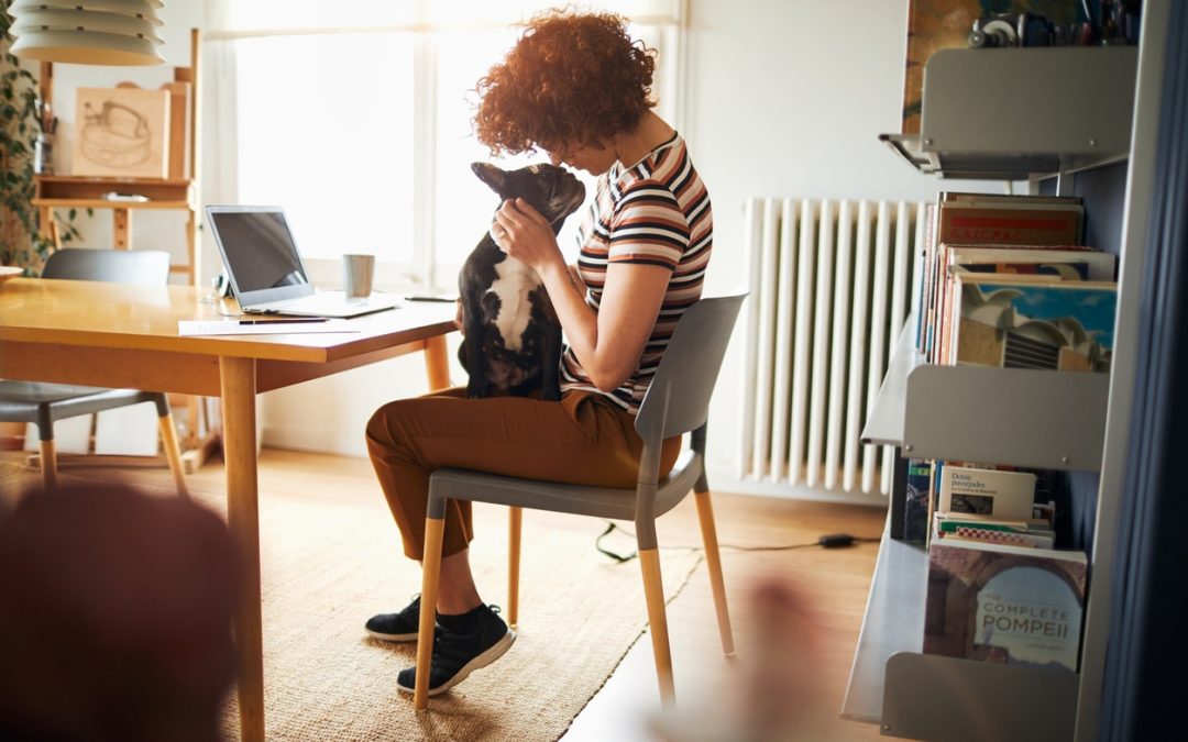 Can Pet Breaks Help You Be More Productive?