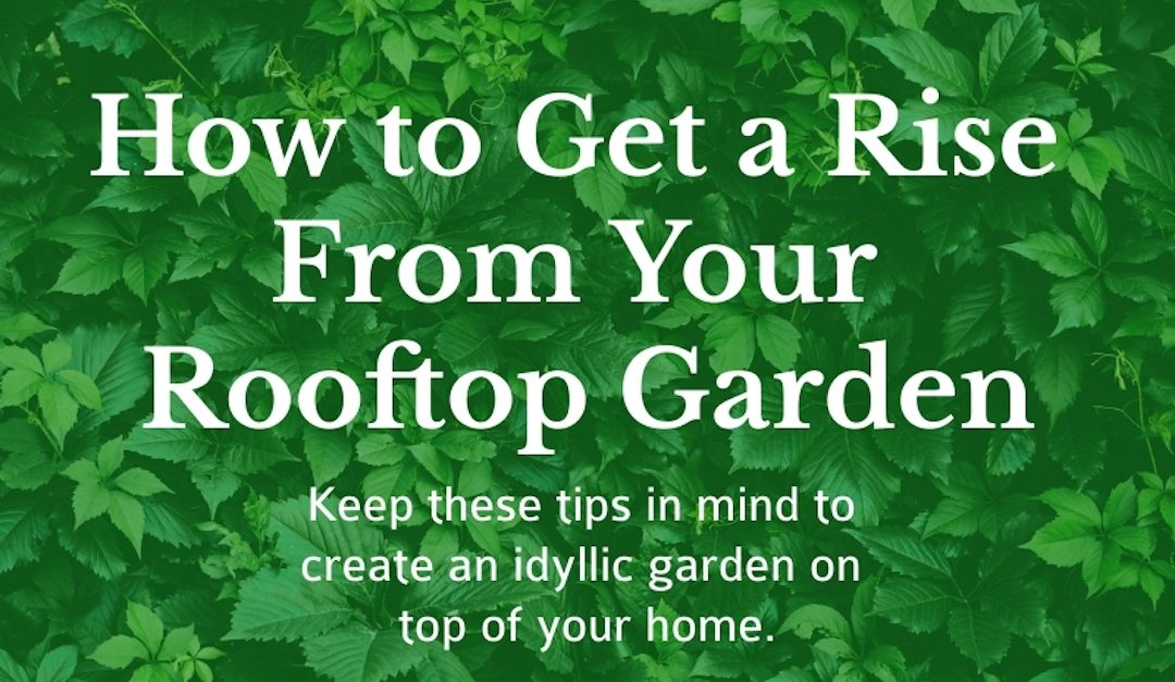 How to Get a Rise From Your Rooftop Garden