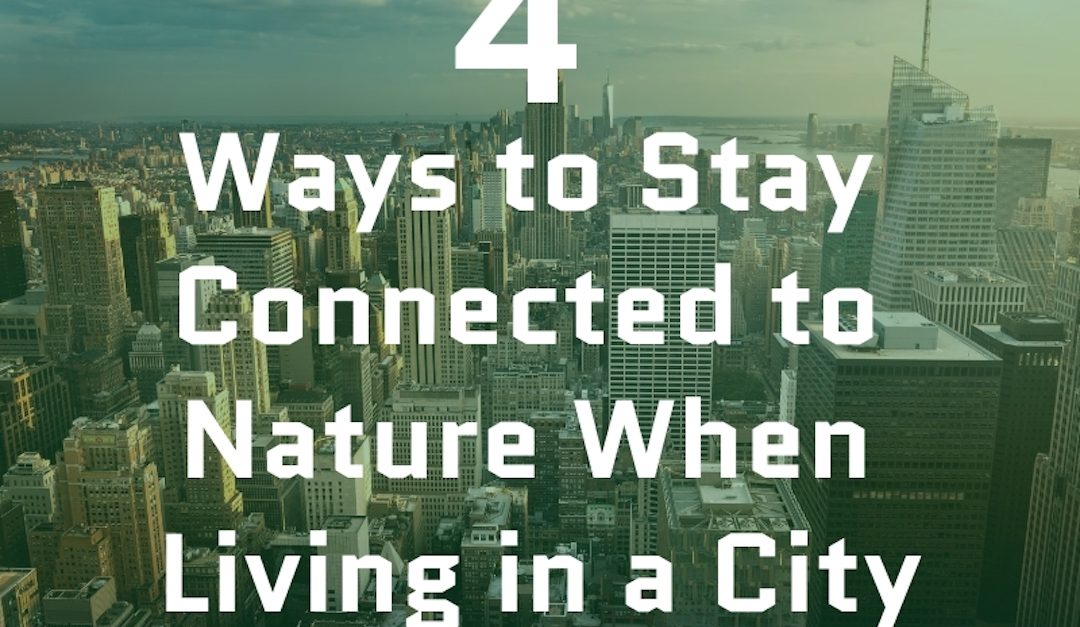 4 Ways to Stay Connected to Nature When Living in a City