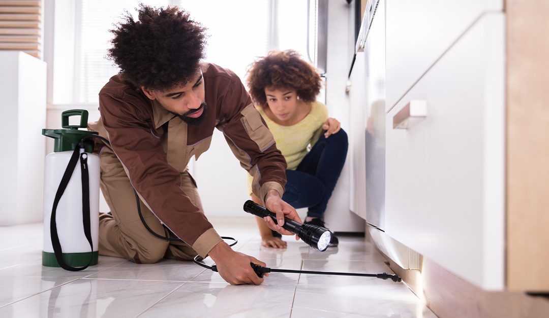 Do You Have a Pest Infestation Right Under Your Nose?