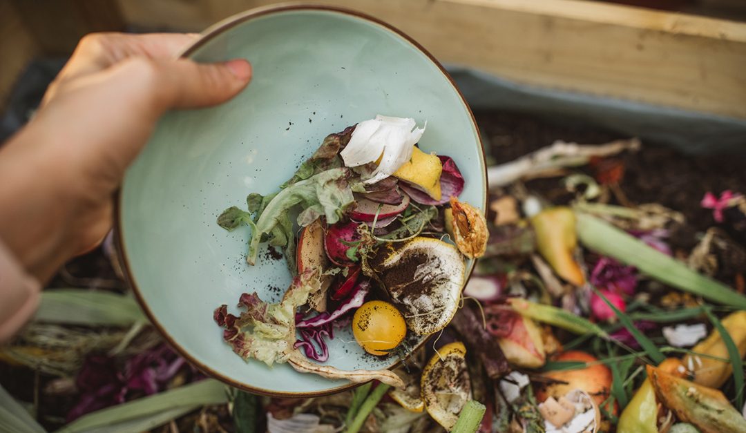 How (and Why) to Start Composting