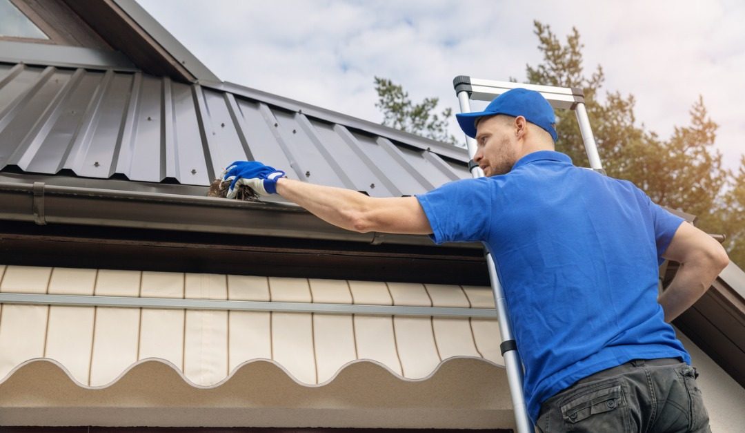 Vital Spring Home Maintenance Tasks to Perform