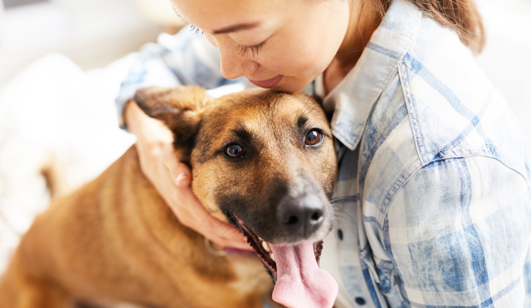 The 4 Best Features for a Pet Owner's Home