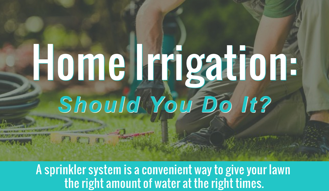 Home Irrigation: Should You Do It?