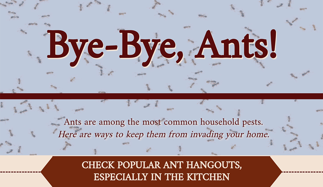 Bye-Bye, Ants!
