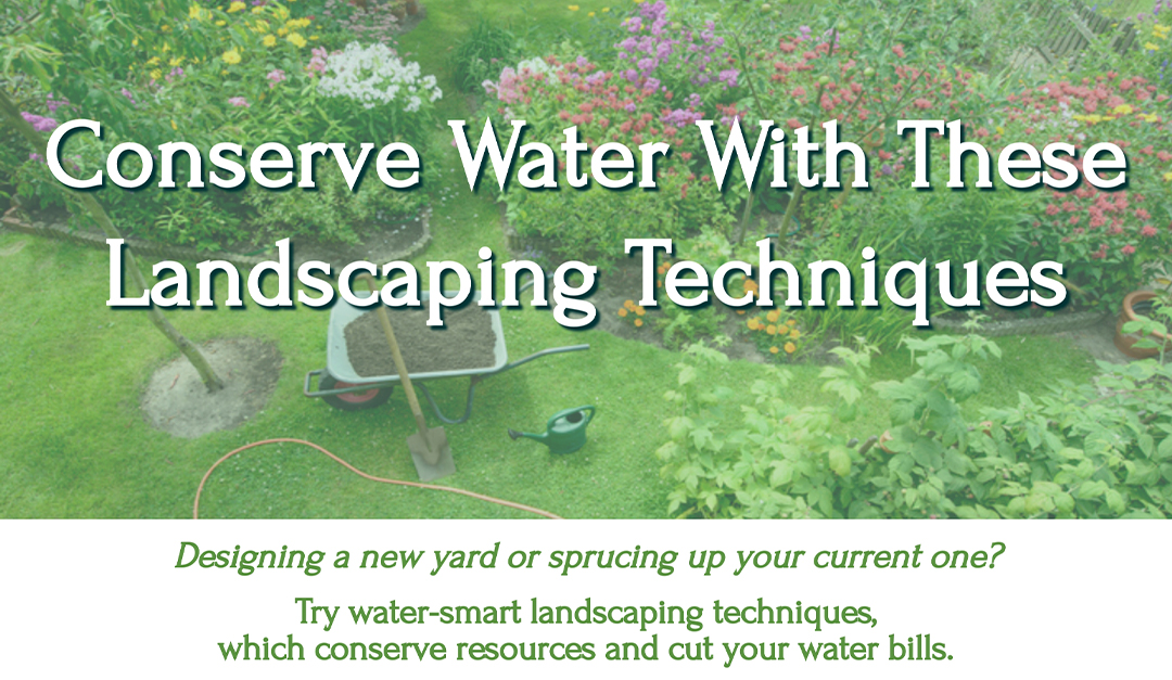 Conserve Water With These Landscaping Techniques