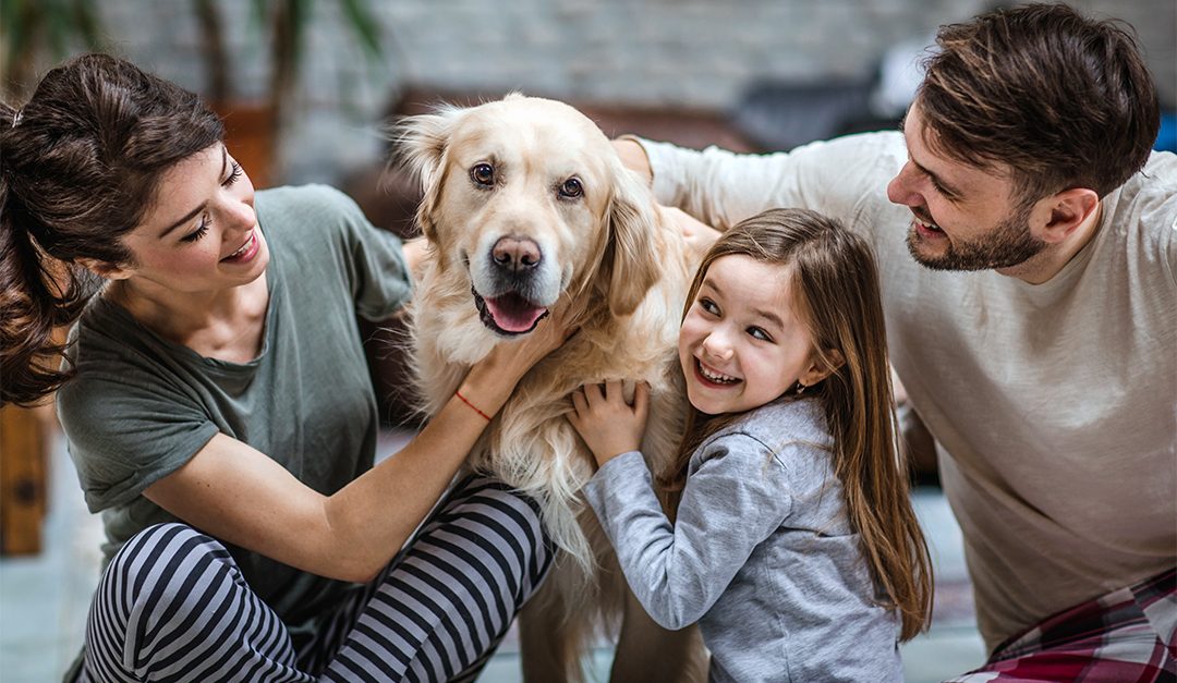 Pets Can Teach Kids Valuable Life Lessons