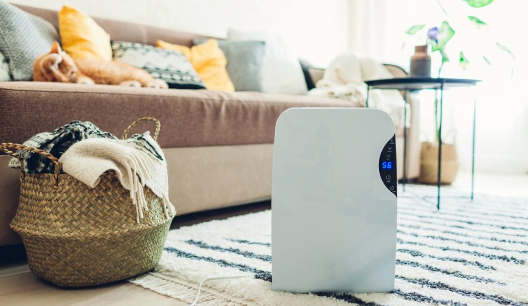 The Best Tech for Keeping Your House Clean