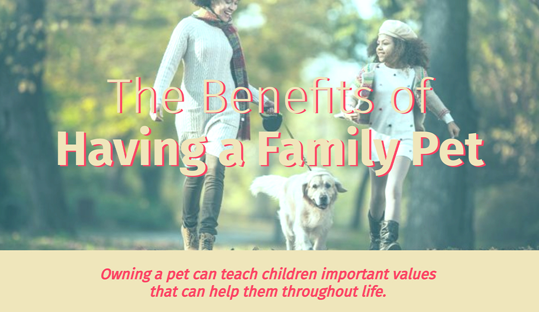 The Benefits of Having a Family Pet