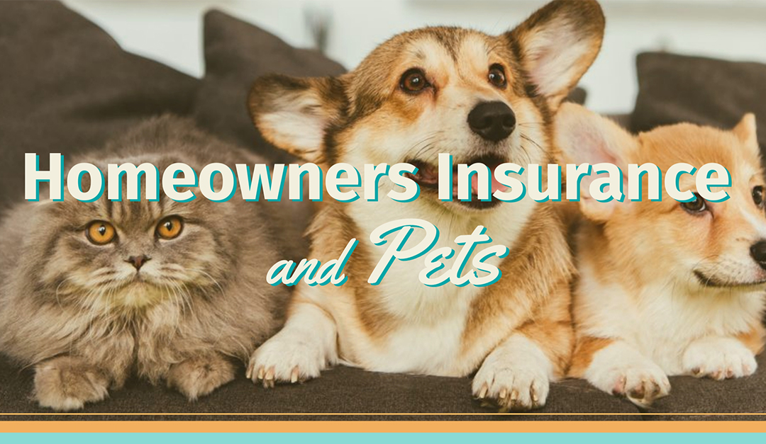 Homeowners Insurance and Pets
