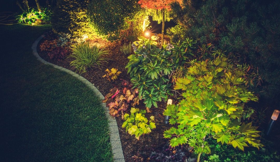 Set the Stage Each Night With Landscape Lighting