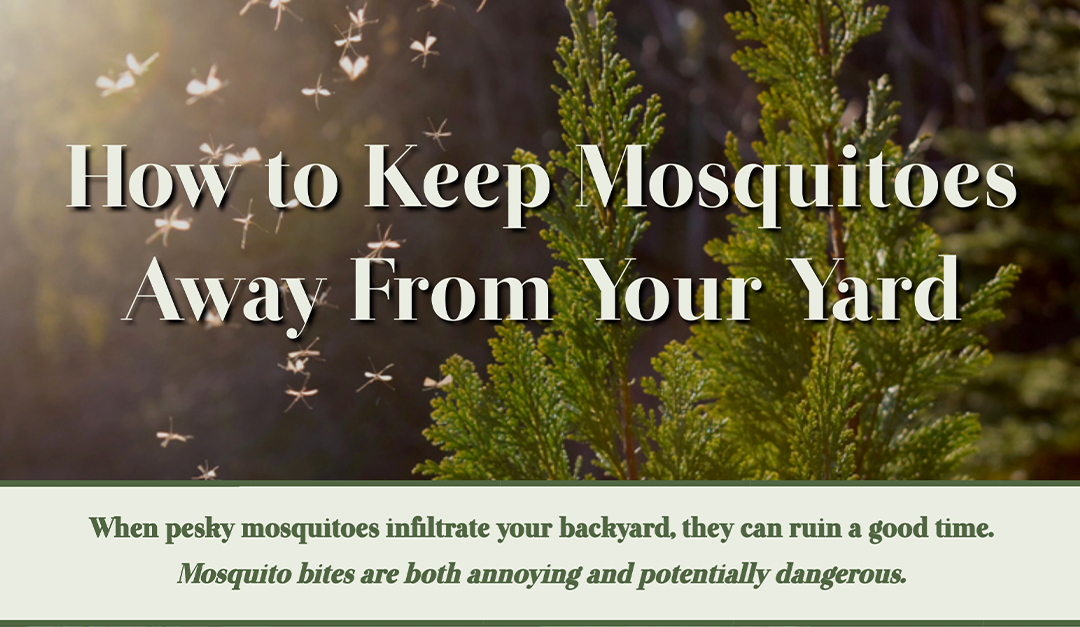 How to Keep Mosquitoes Away From Your Yard