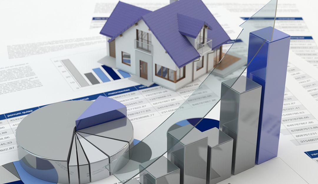 Craig McClelland: Studying the Market for Success