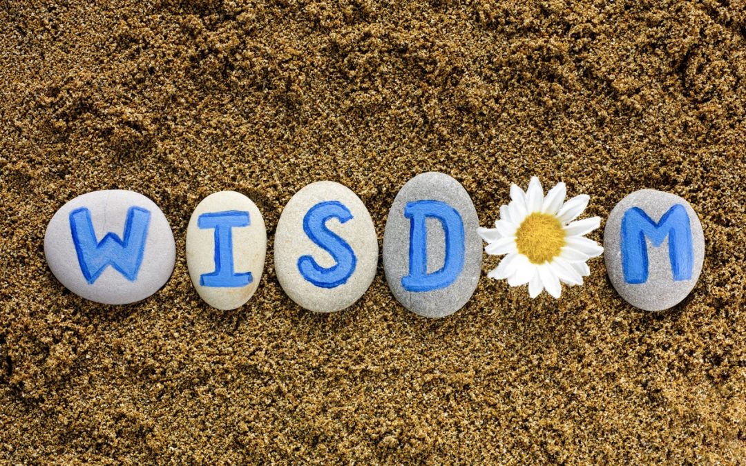 5 Gems of Wisdom for New Agents