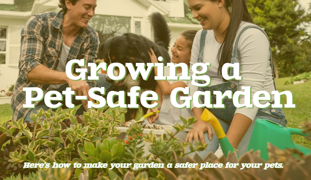 Growing a Pet-Safe Garden