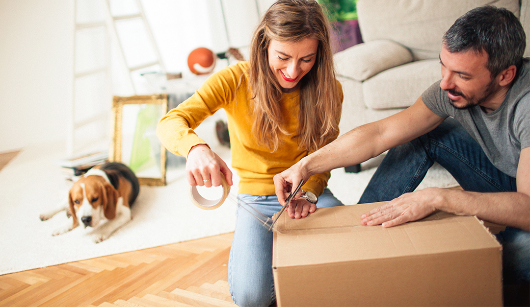 Make Moving Easy for Your Furry Friends