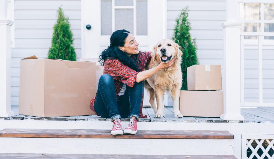 Helpful Tips for Moving With Pets