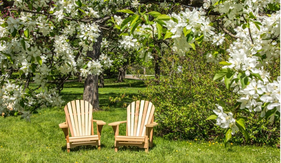 4 Classic Outdoor Chair Styles for Every Backyard