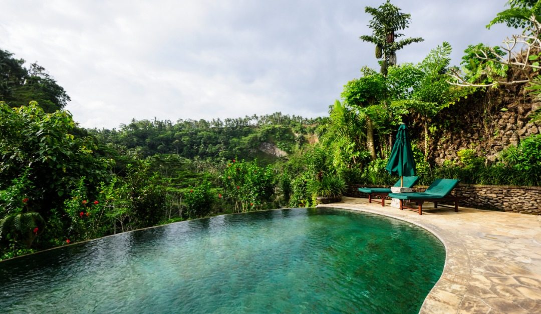 4 Reasons to Love Natural Swimming Pools