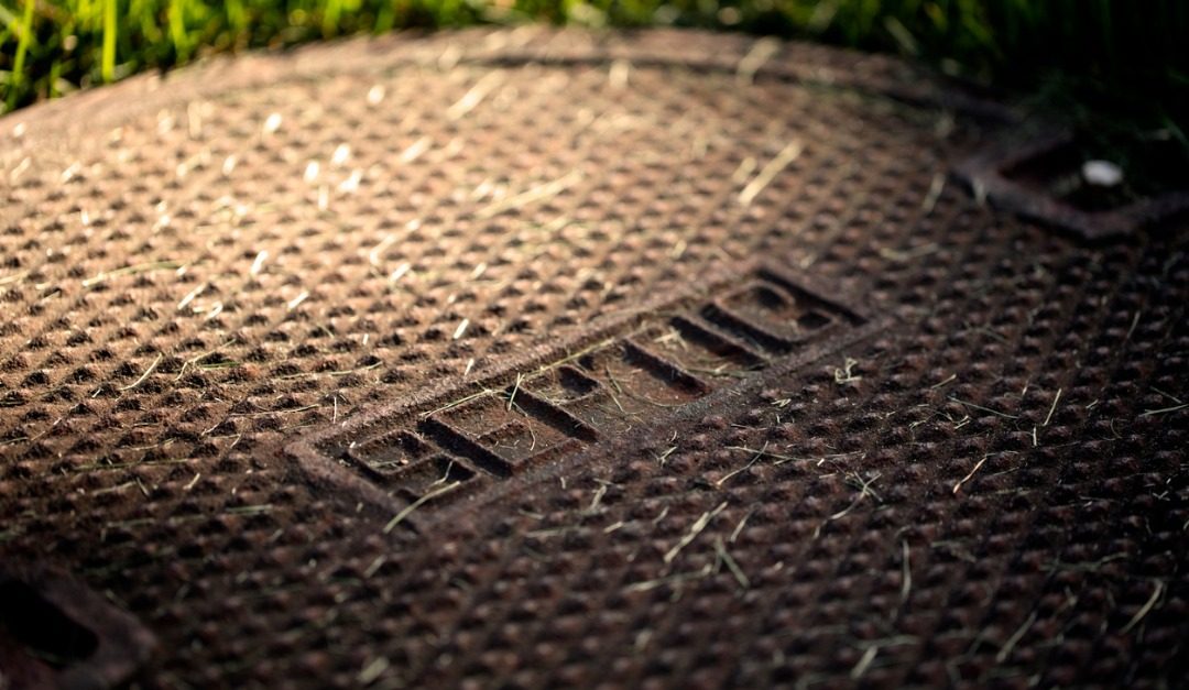 Should You Have a Septic System Inspected Before You Agree to Buy a House?