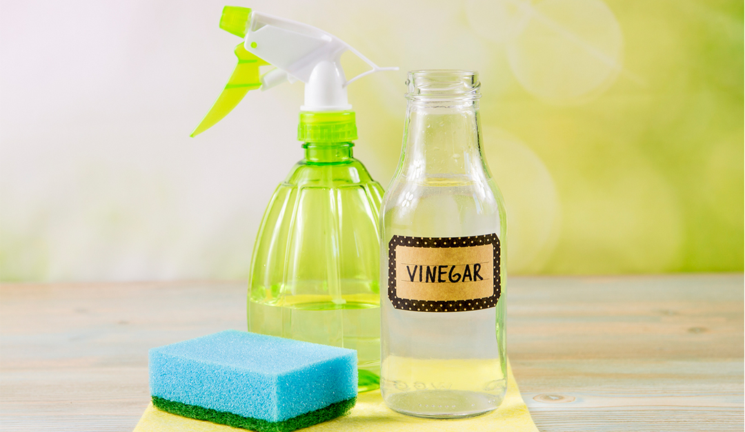 DIY Cleaning With White Vinegar