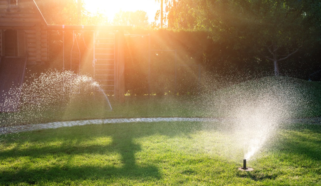 Why You Should Install a Smart Irrigation System
