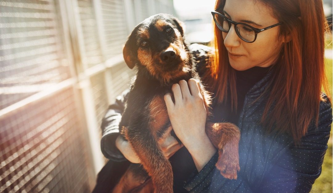 Rehoming Your Pet Humanely
