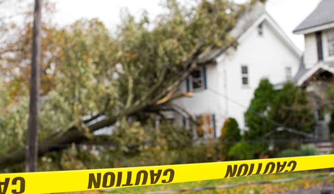 Who Is Responsible If a Tree Falls During a Storm and Causes Property Damage?