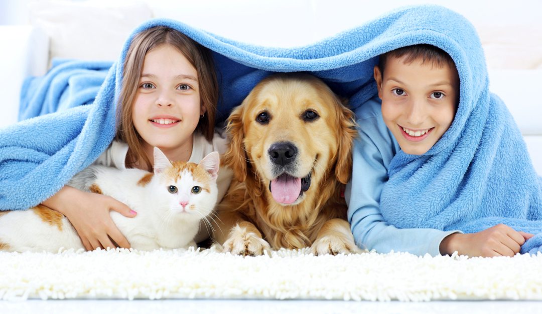 Mayo Clinic Q&A: Children With Animal Allergies Can Live Comfortably With Pets