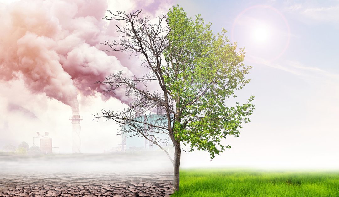 How Commercial Real Estate Investors Are Weighing Climate Change When Planning Future Business Strategies