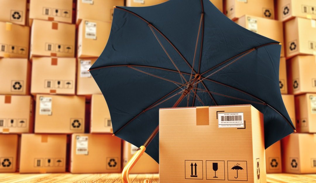 4 Items You May Want to Insure Before Moving