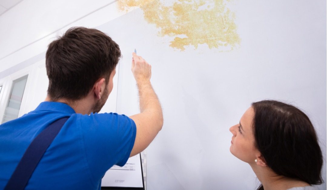 4 Signs That a Rental Has Not Been Well-Maintained