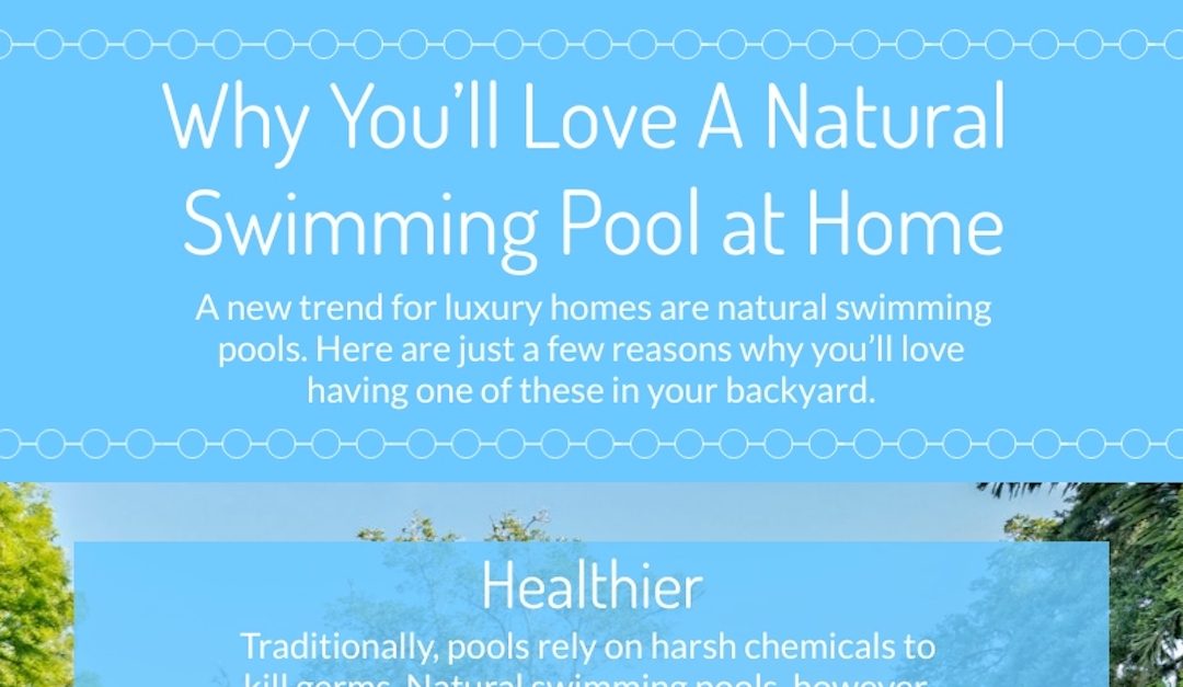 Why You’ll Love A Natural Swimming Pool at Home