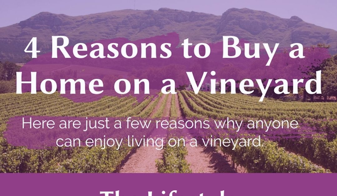 4 Reasons to Buy a Home on a Vineyard