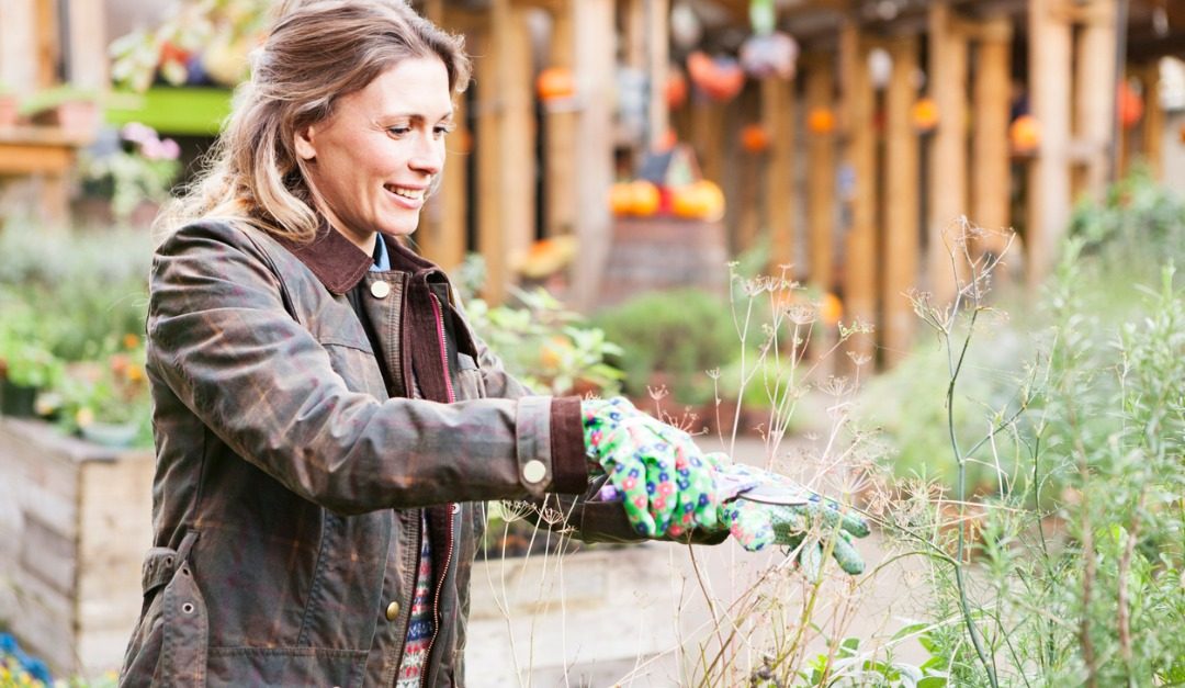 Cold-Weather Gardening Projects