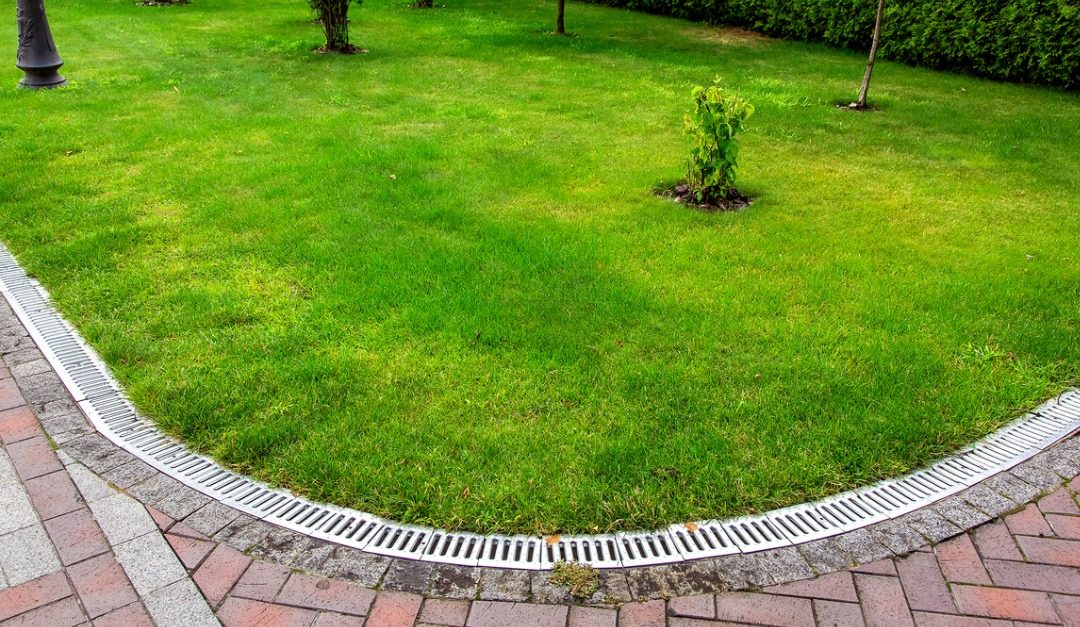 How to Change the Landscaping in Your Yard to Improve Drainage