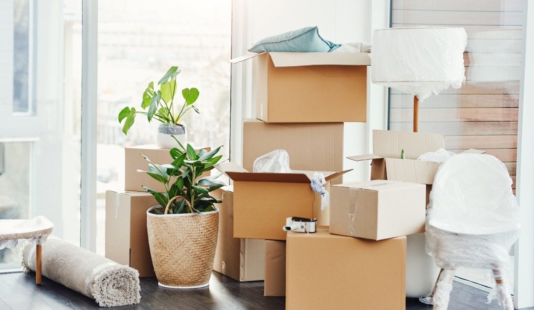 Five Tips for a Hassle-Free Moving Day