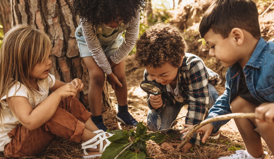 Helping Your Child Connect With Nature