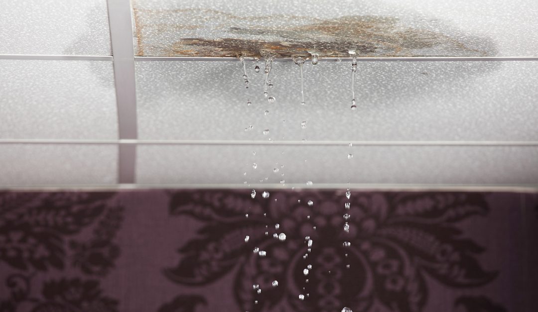 Water Damage: Causes and Prevention