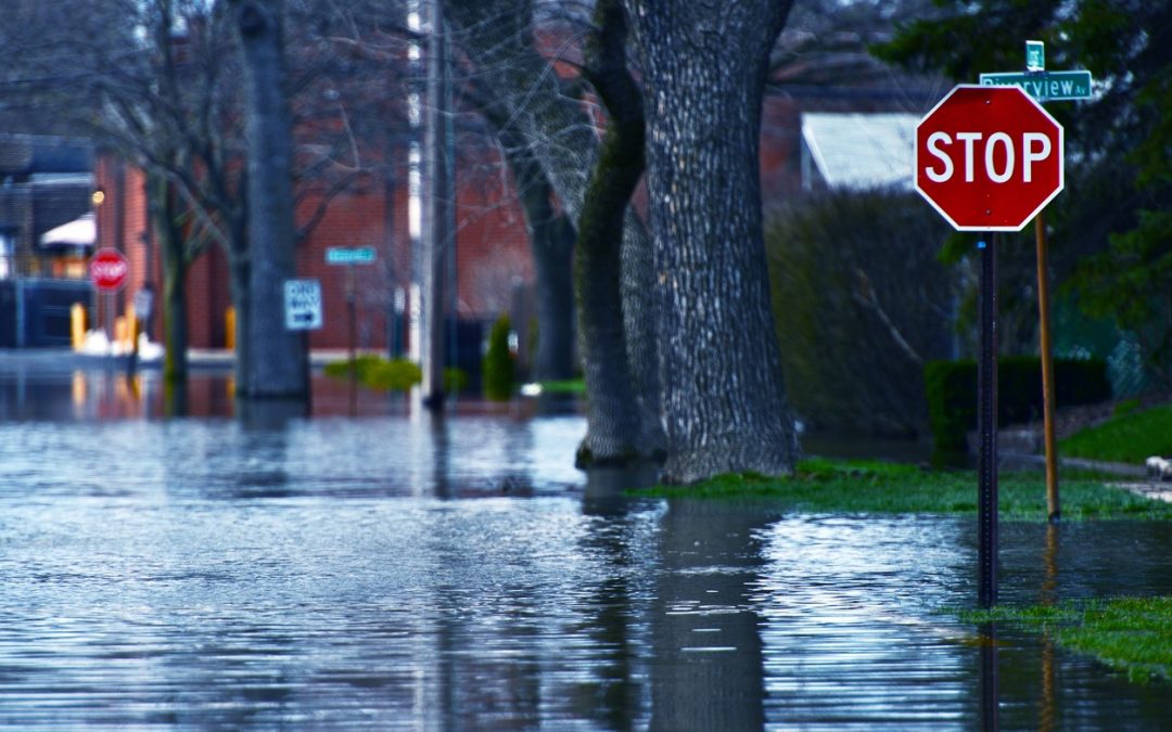 Plan Ahead: Preparing Your Home and Family Against Future Emergencies