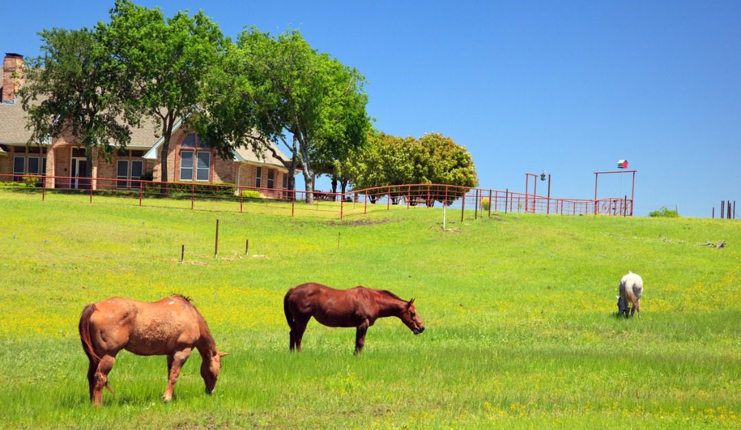 4 Things to Know Before Buying an Equestrian Property