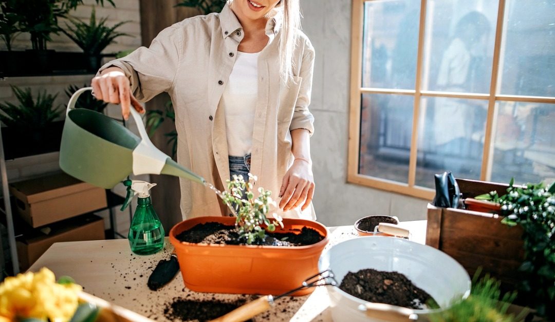 4 Ways You Can Enjoy Gardening at Home Year Round