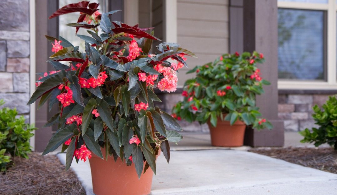 5 Easy Ways to Spruce Up Your Home’s Exterior