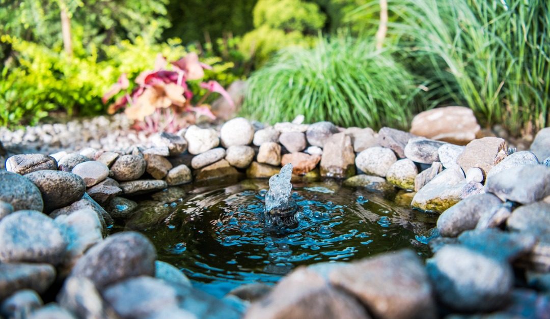 4 Landscaping Tips for a Peaceful Outdoor Area This Spring