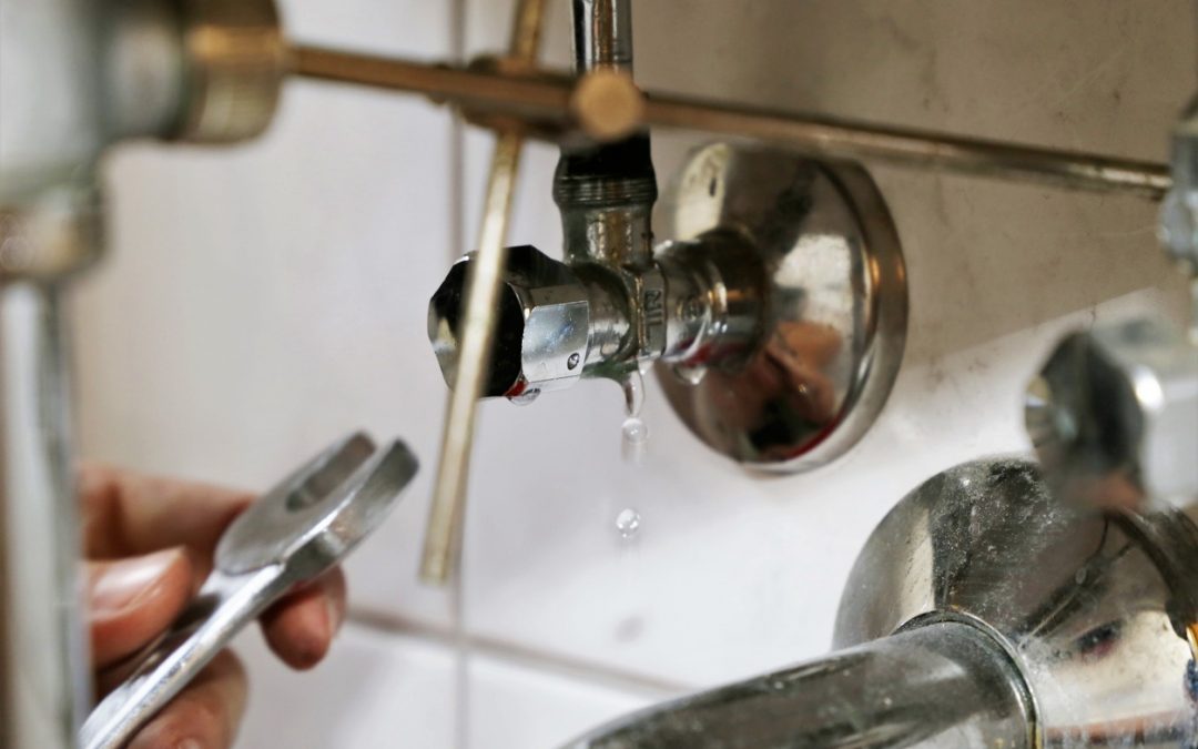 April Showers and Leaks: The Most Common Springtime Plumbing Issues