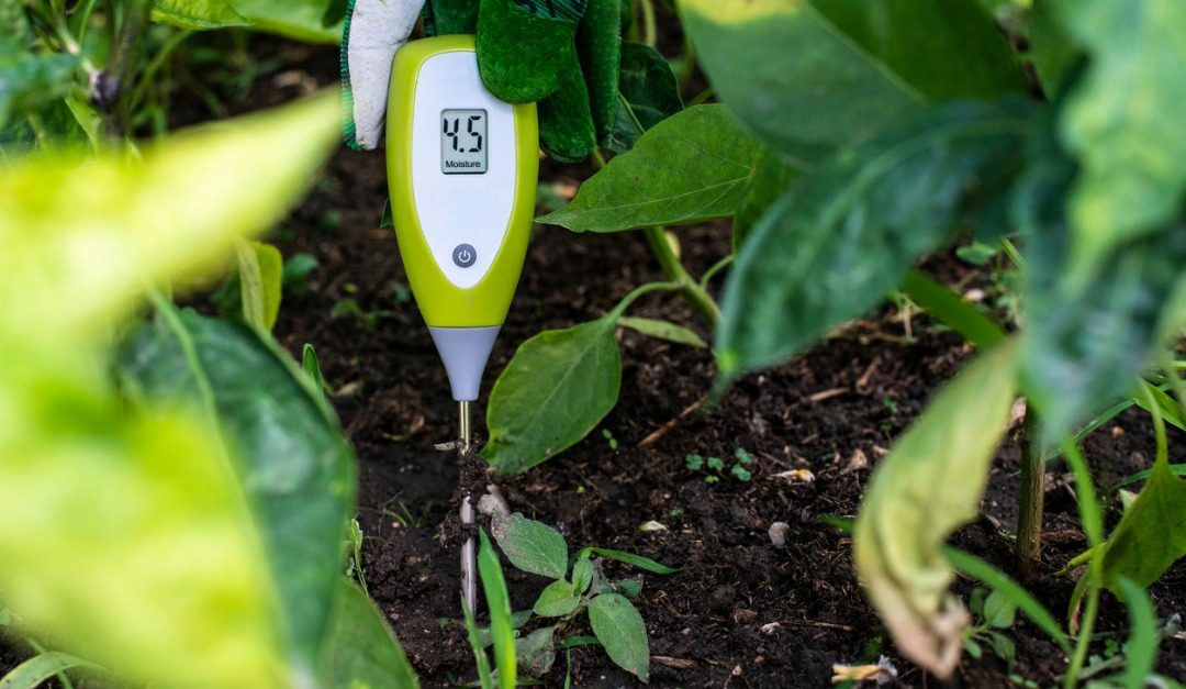 The Best Smart Home Technology for Gardeners