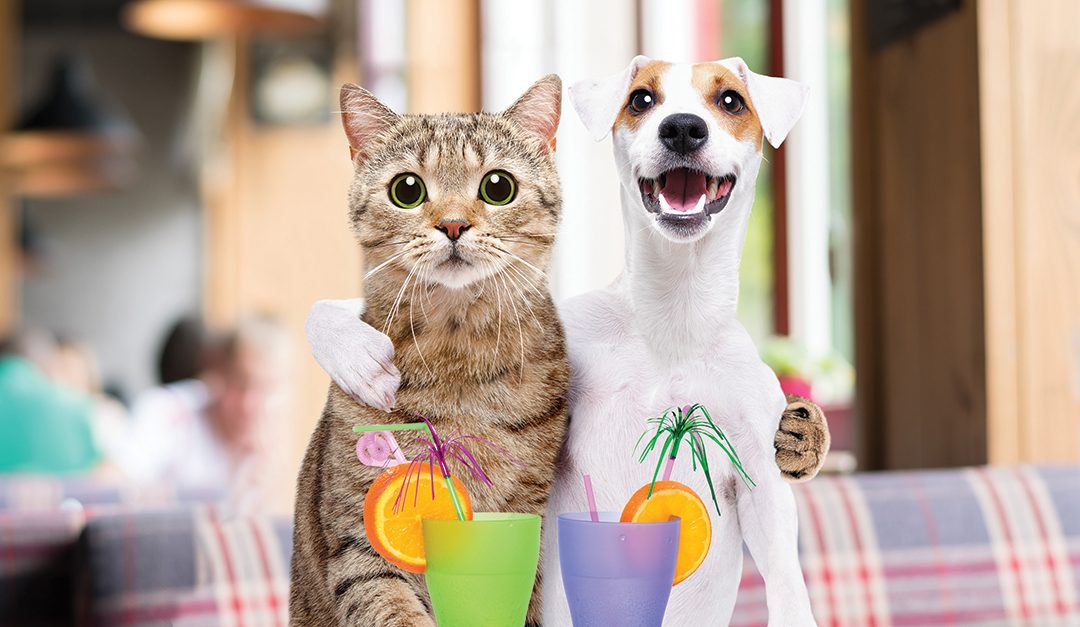 What Partnership Is Right for You?