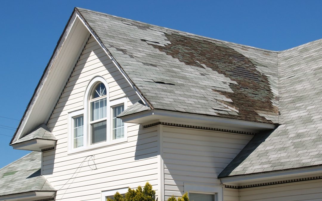 Force of Nature: The Most Likely Causes Behind Your Home’s Roof Damage